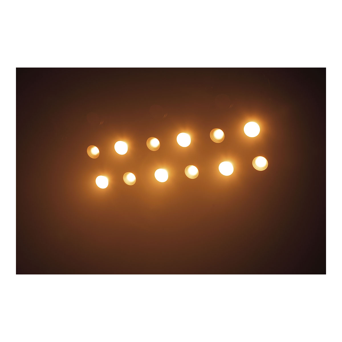 Showtec Stage Blinder 4 LED - CW / WW Showtec Stage Blinder 4 LED - CW / WW