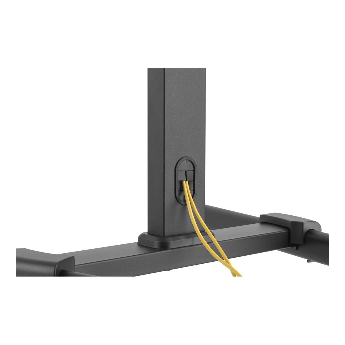 Showgear Flat Screen Trolley 7 Voor 32" - 55", in hoogte verstelbaar en kantelbaar Showgear Flat Screen Trolley 7 Voor 32" - 55", in hoogte verstelbaar en kantelbaar