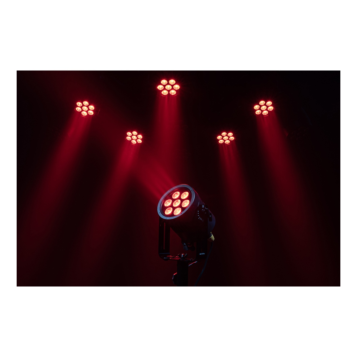 Infinity Raccoon Junior P7/4 Professionele RGBM Par Can Infinity Raccoon Junior P7/4 Professionele RGBM Par Can