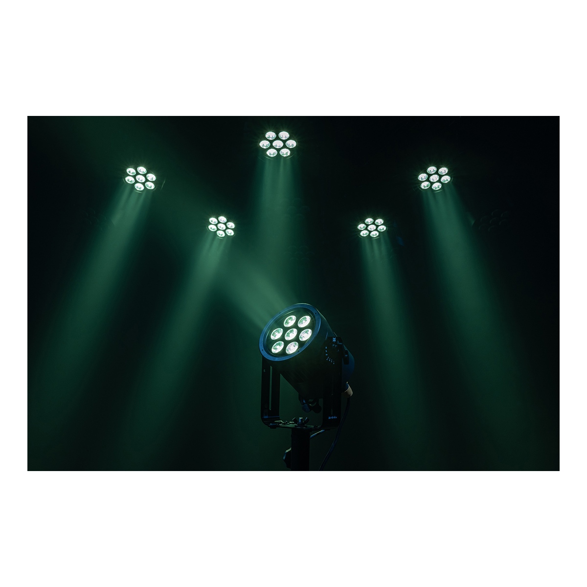 Infinity Raccoon Junior P7/4 Professionele RGBM Par Can Infinity Raccoon Junior P7/4 Professionele RGBM Par Can