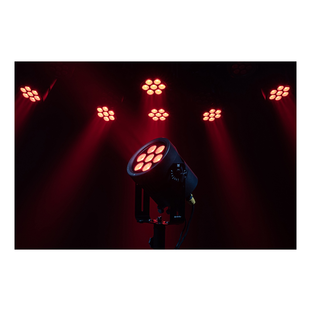 Infinity Raccoon P7/7 Professionele RGBCALDB Par Can - IP65 Infinity Raccoon P7/7 Professionele RGBCALDB Par Can - IP65