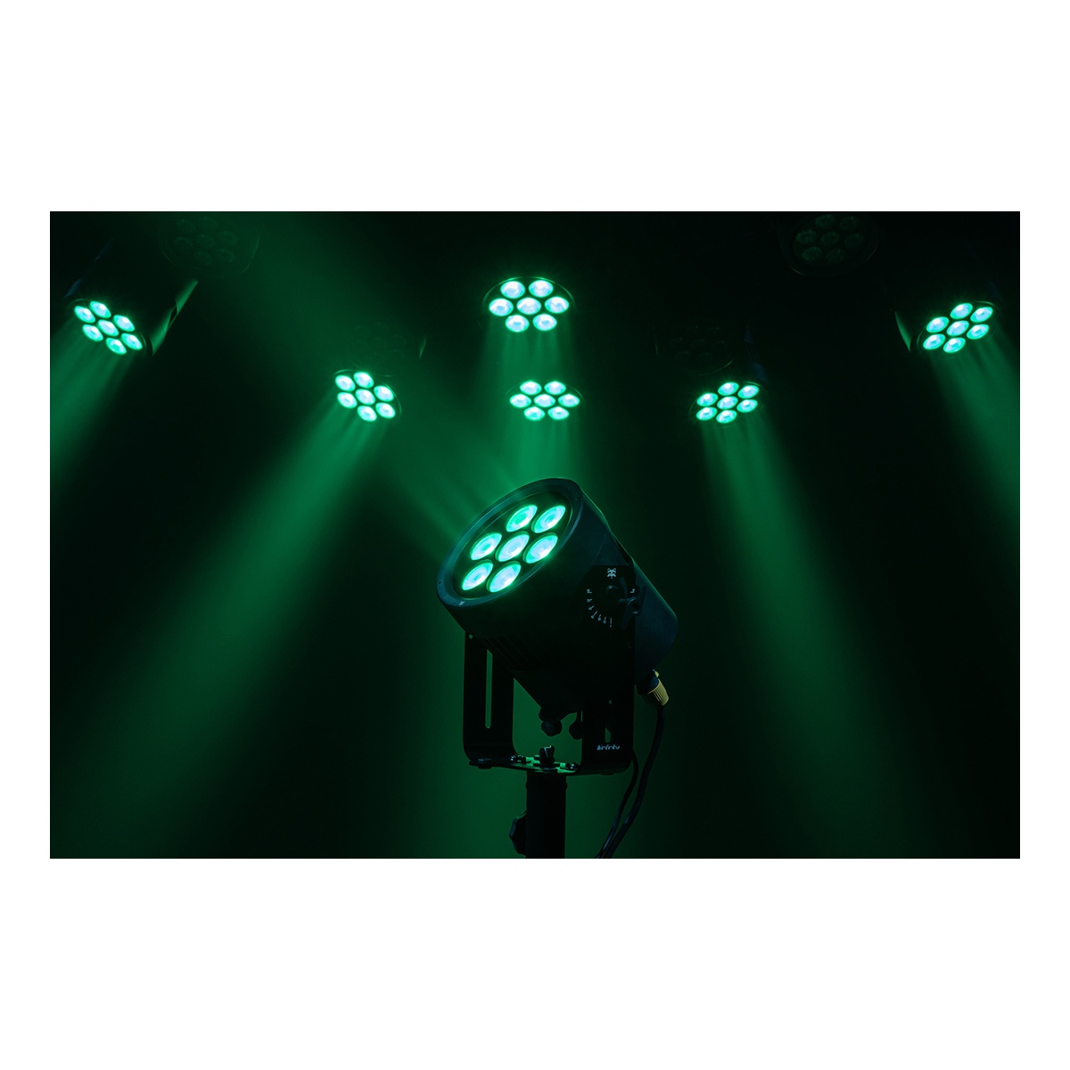 Infinity Raccoon P7/7 Professionele RGBCALDB Par Can - IP65 Infinity Raccoon P7/7 Professionele RGBCALDB Par Can - IP65