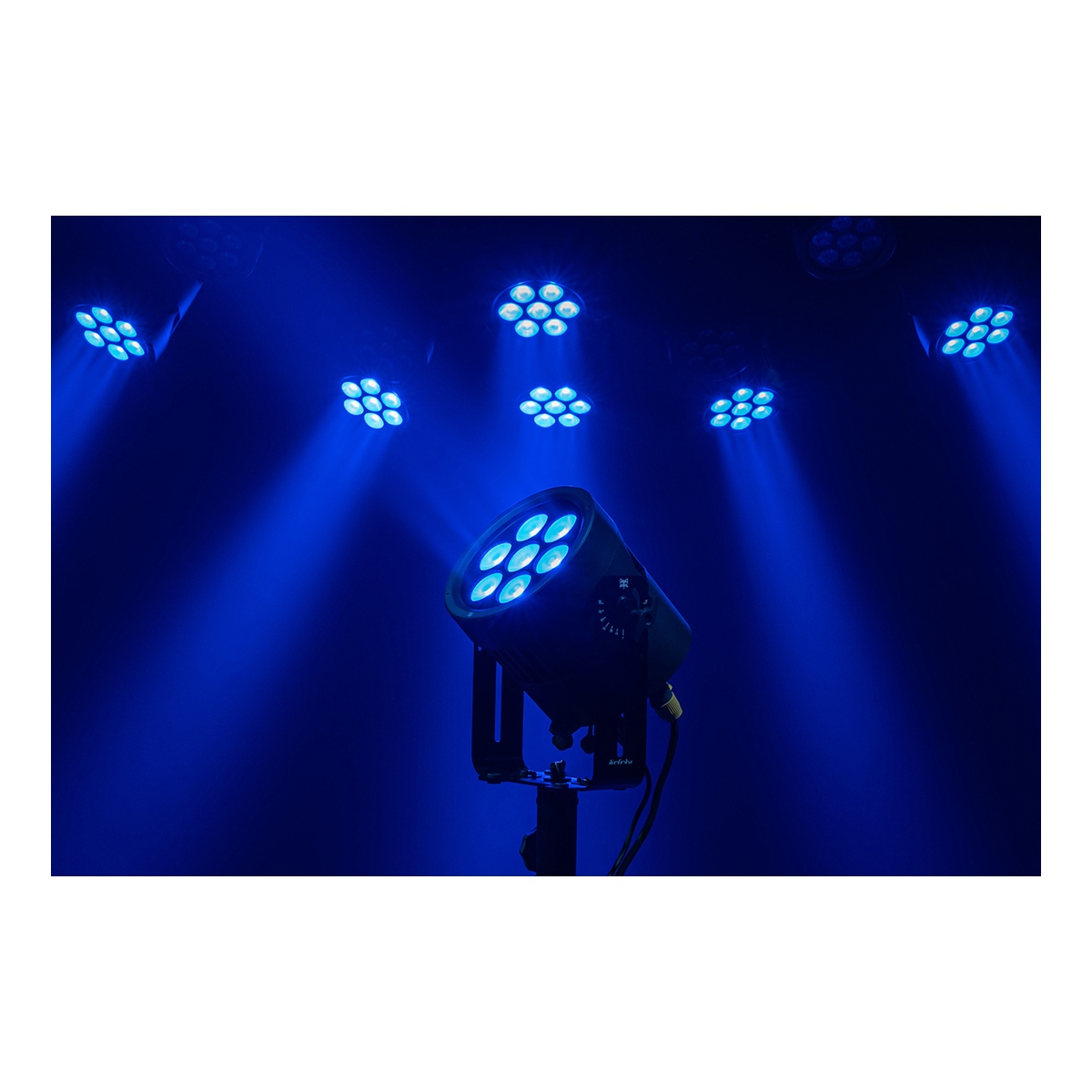 Infinity Raccoon P7/7 Professionele RGBCALDB Par Can - IP65 Infinity Raccoon P7/7 Professionele RGBCALDB Par Can - IP65