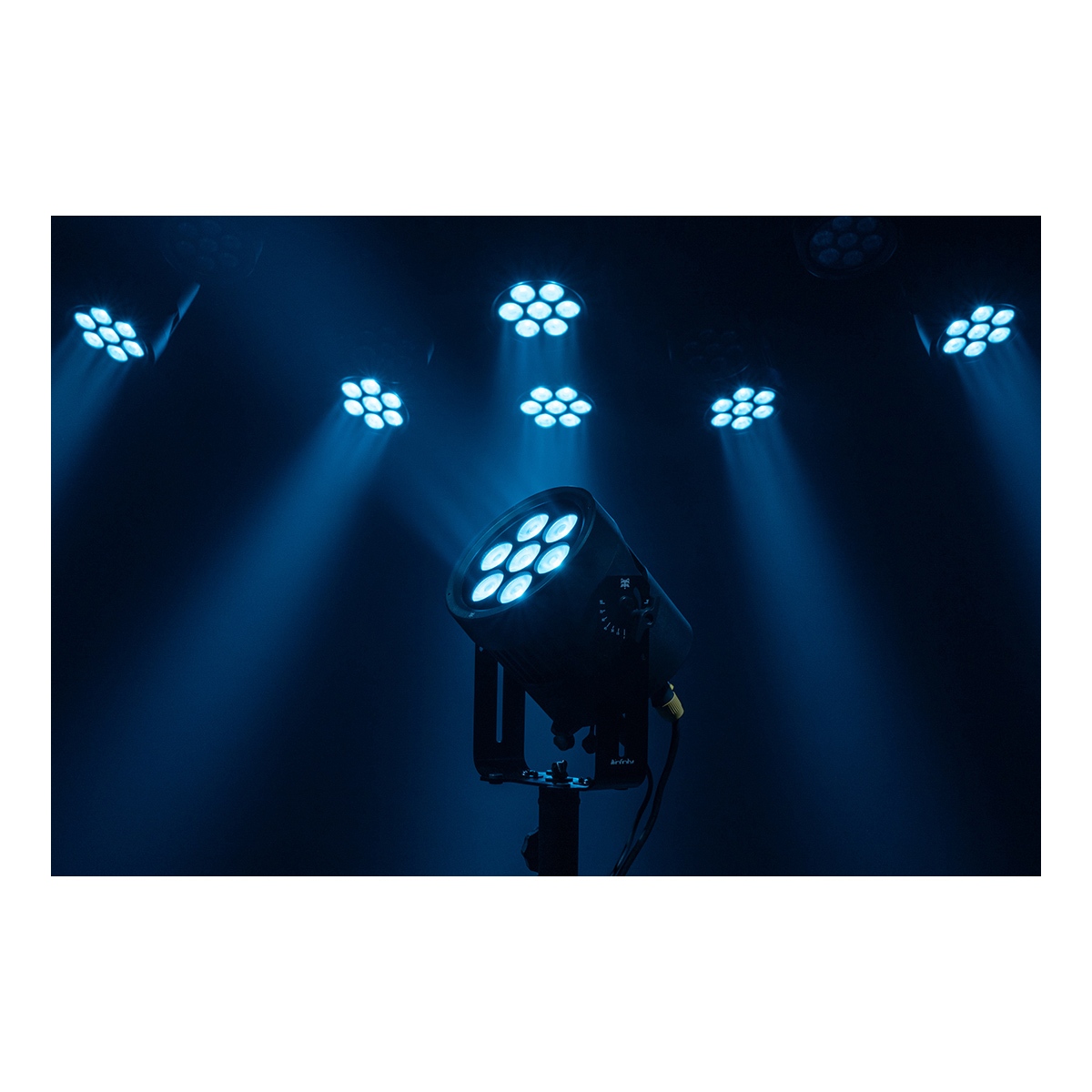 Infinity Raccoon P7/7 Professionele RGBCALDB Par Can - IP65 Infinity Raccoon P7/7 Professionele RGBCALDB Par Can - IP65