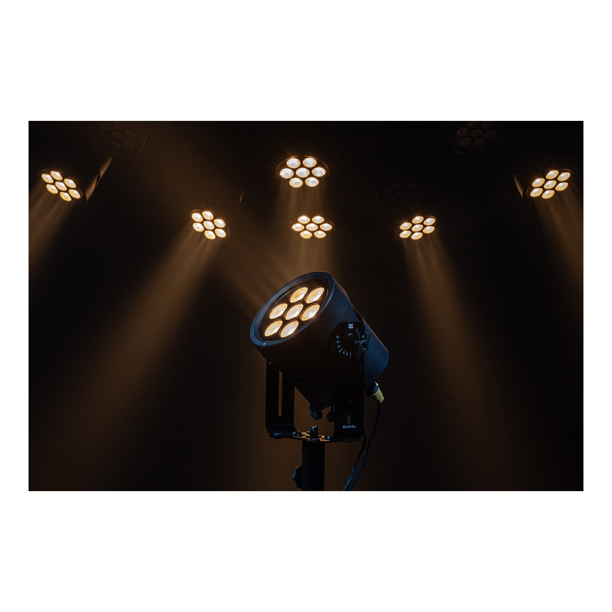 Infinity Raccoon P7/7 Professionele RGBCALDB Par Can - IP65 Infinity Raccoon P7/7 Professionele RGBCALDB Par Can - IP65