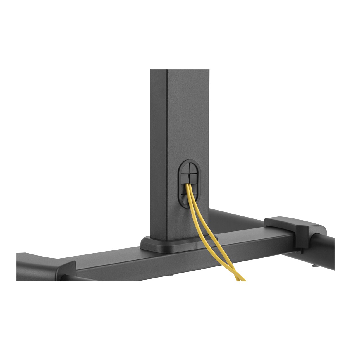 Showgear Flat Screen Trolley 7 Voor 32" - 55", in hoogte verstelbaar en kantelbaar Showgear Flat Screen Trolley 7 Voor 32" - 55", in hoogte verstelbaar en kantelbaar