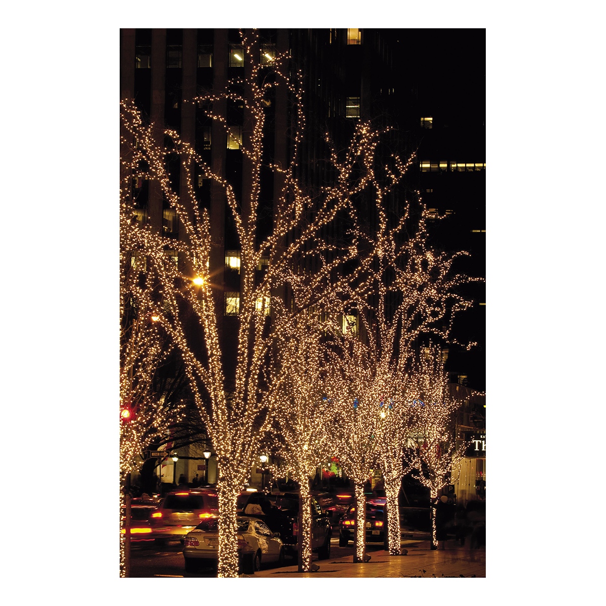 Showtec LED Rubber Static String Light WW Zwart - 100 LED's - 10 m Showtec LED Rubber Static String Light WW Zwart - 100 LED's - 10 m