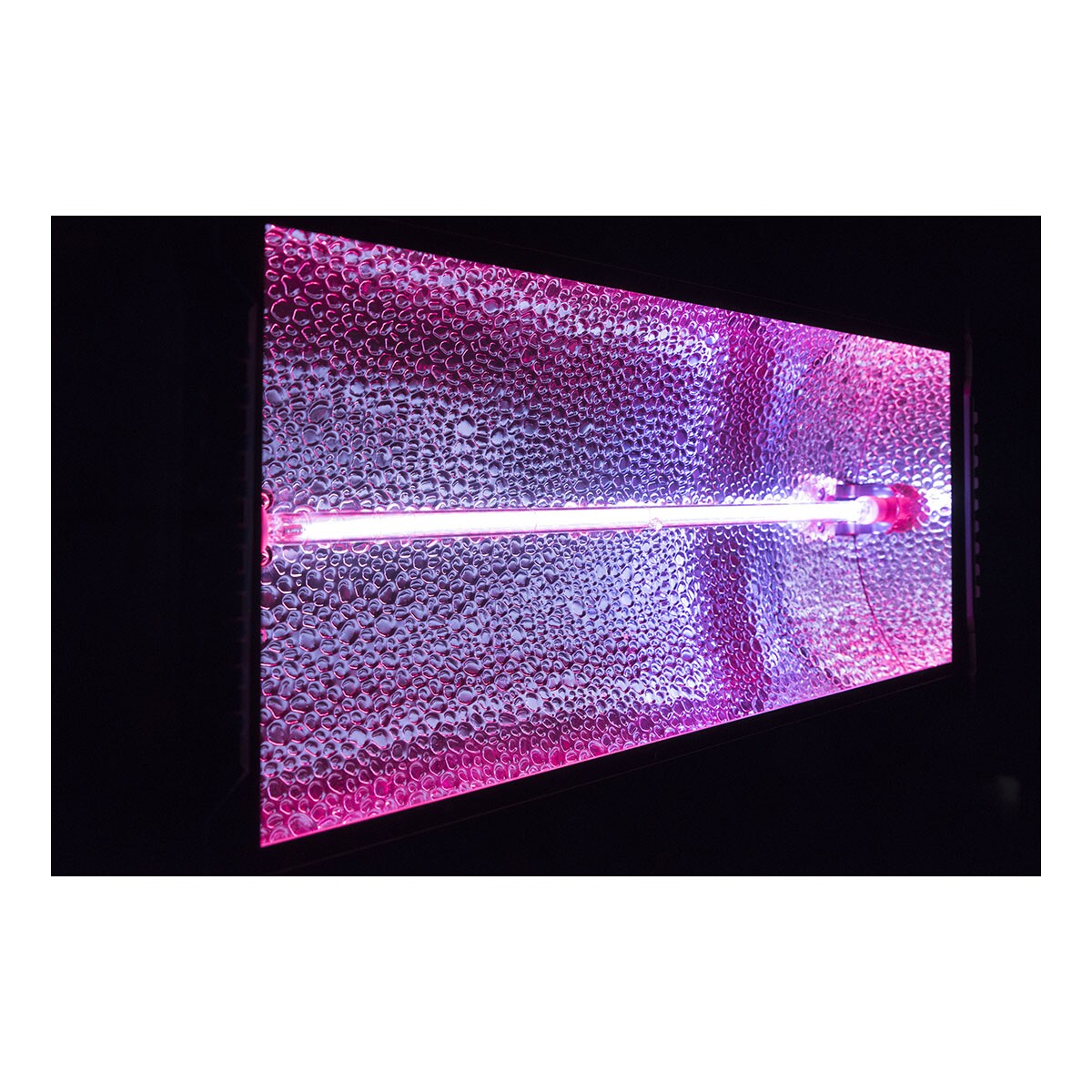 Showtec Titan Strobe BLAZE Showtec Titan Strobe BLAZE