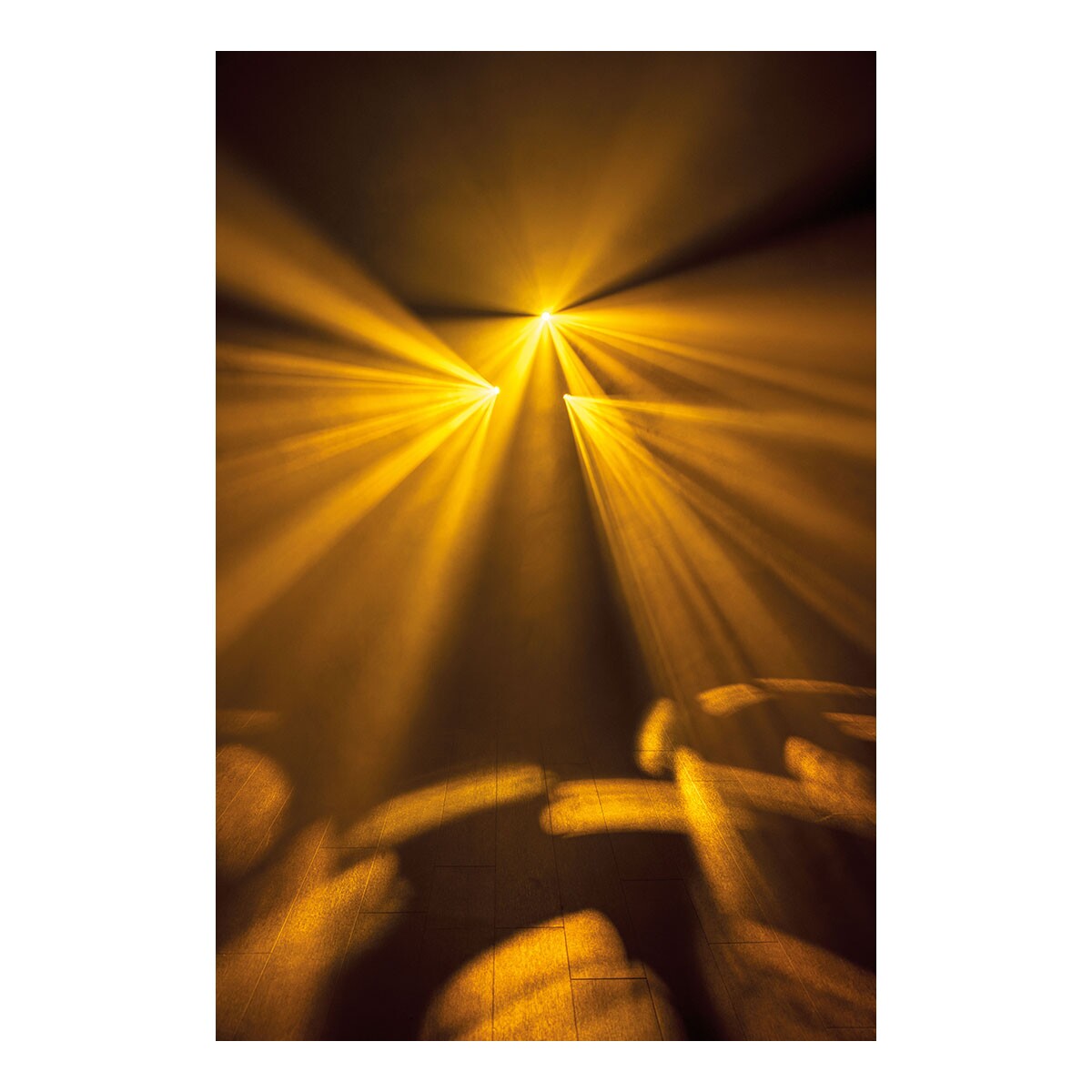 Showtec Dataflower LED Effectverlichting 100W met DMX Showtec Dataflower LED Effectverlichting 100W met DMX